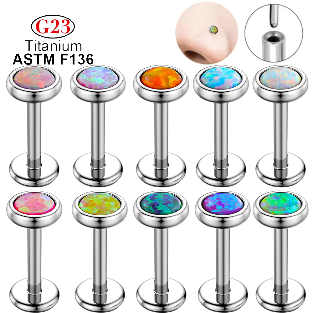 1 Stück G23 Titan Nasen-Labret – Body Jewelry Threadless Bewertung und Preis